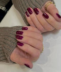 Ongles en gel semi-polymérisé | Aubergine - NG200065